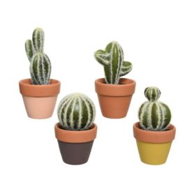 Cactus assortito d.6,5 h15
