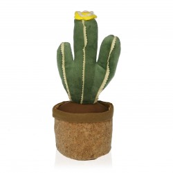 Fermaporta cactus