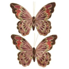 farfalla assortita cm12 marrone