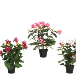 vaso fiori colorati assortiti h.cm30