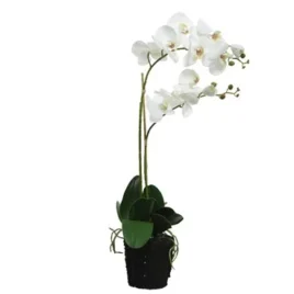 orchidea bianca cm62h su base