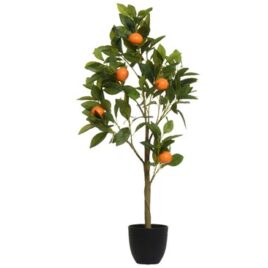 albero arance cm92