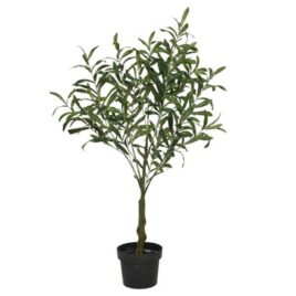 pianta olivo in vaso d51 xh 90cm